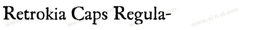 Retrokia Caps Regula字体转换